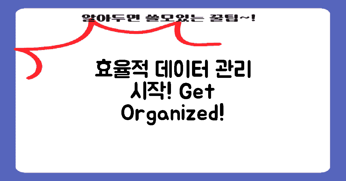 효율적 데이터 관리 시작하세요