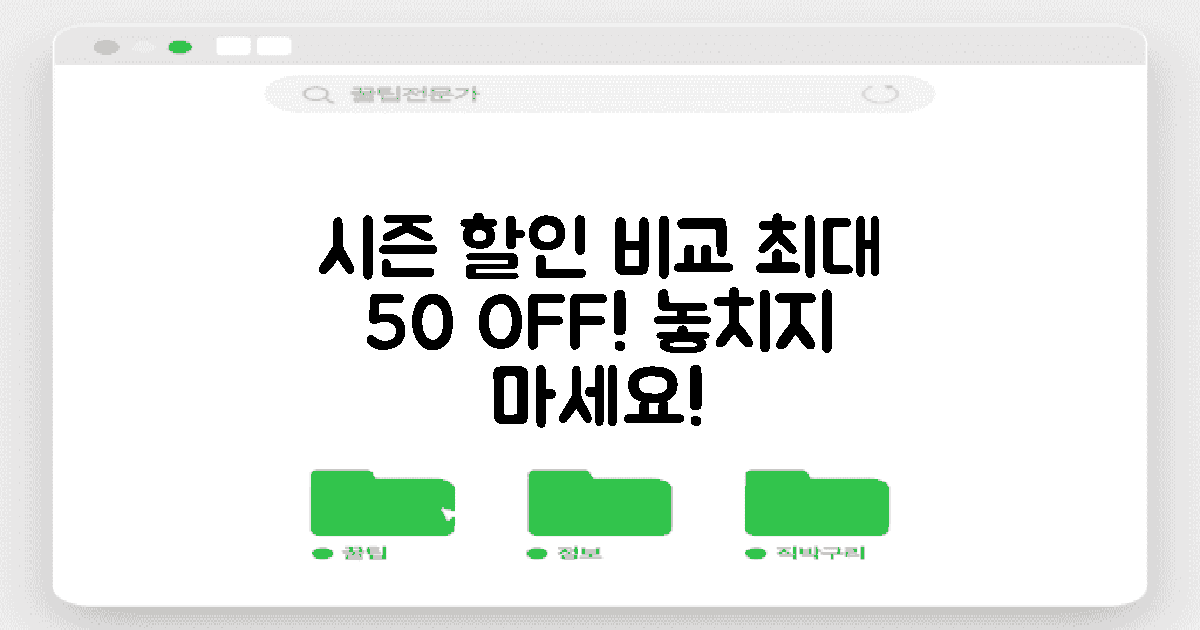 시즌별 할인 비교