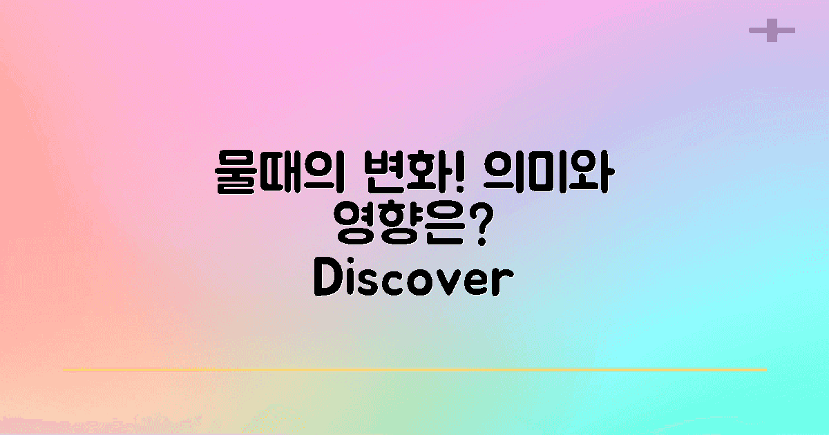 변화하는 물때의 의미는?