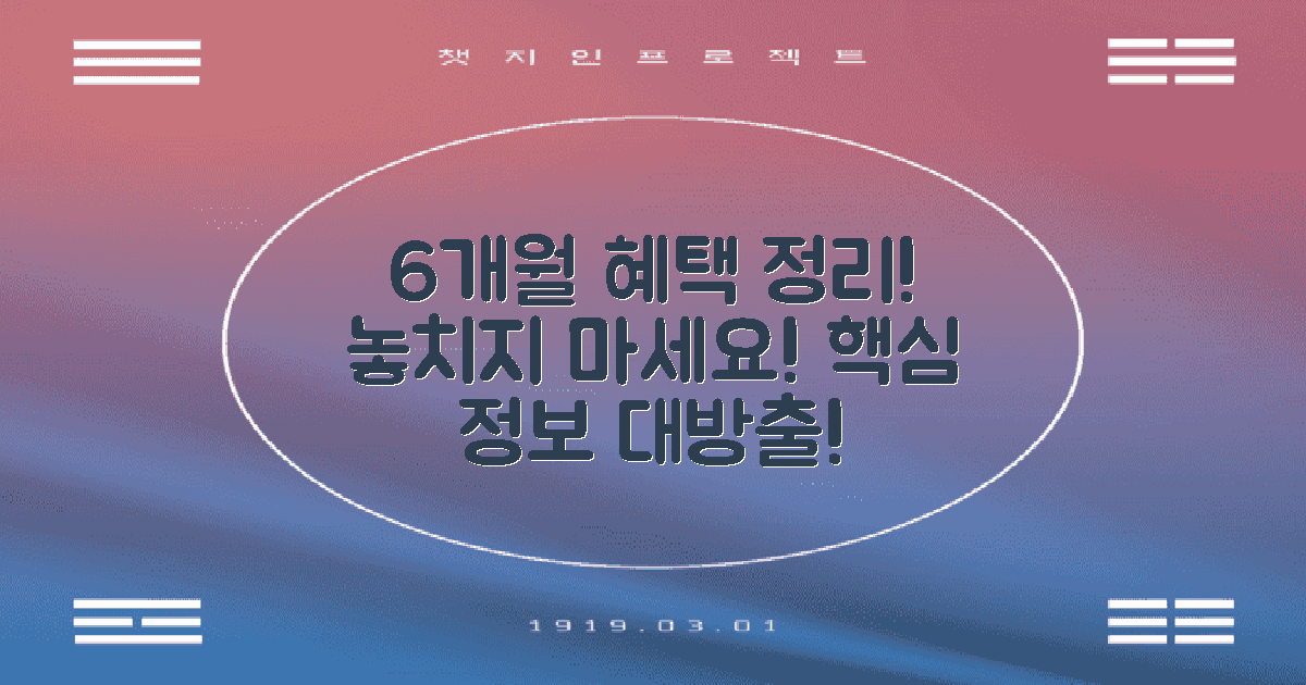 6개월별 혜택 정리