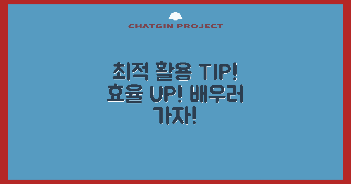 최적 활용 팁 배우세요
