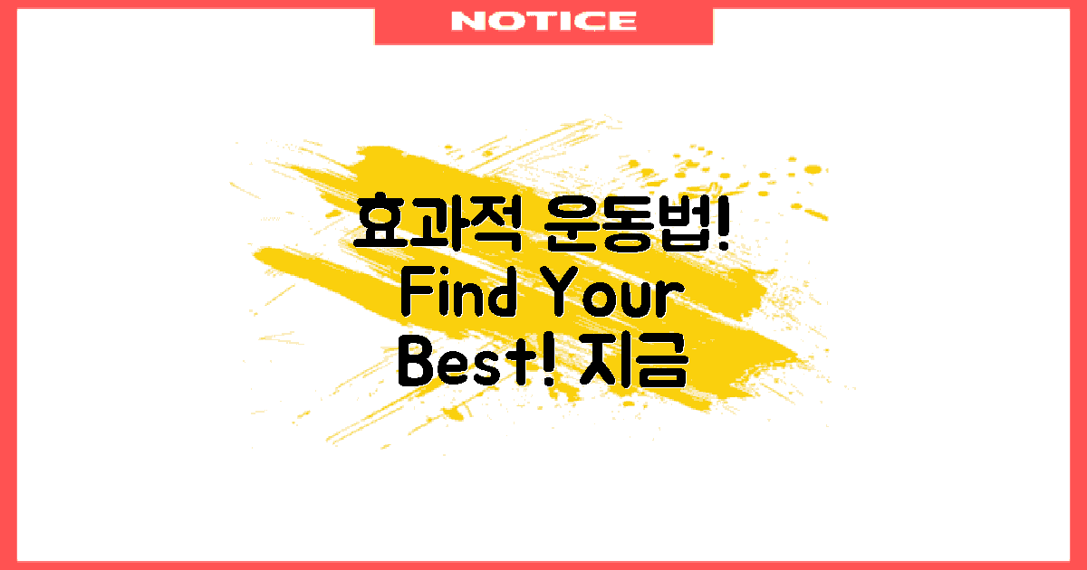 효과적인 운동법을 찾아보세요