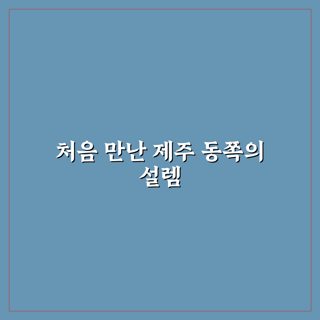 제주도 동쪽 가볼만한 곳 추천 직접 써본 후기와 여행 팁