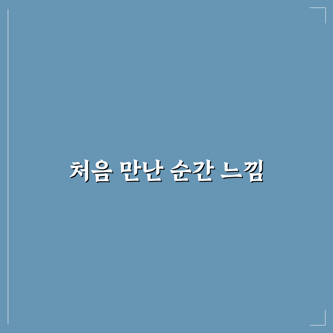 워드프레스 DB 용량 최적화 플러그인 사용후기와 적용 팁