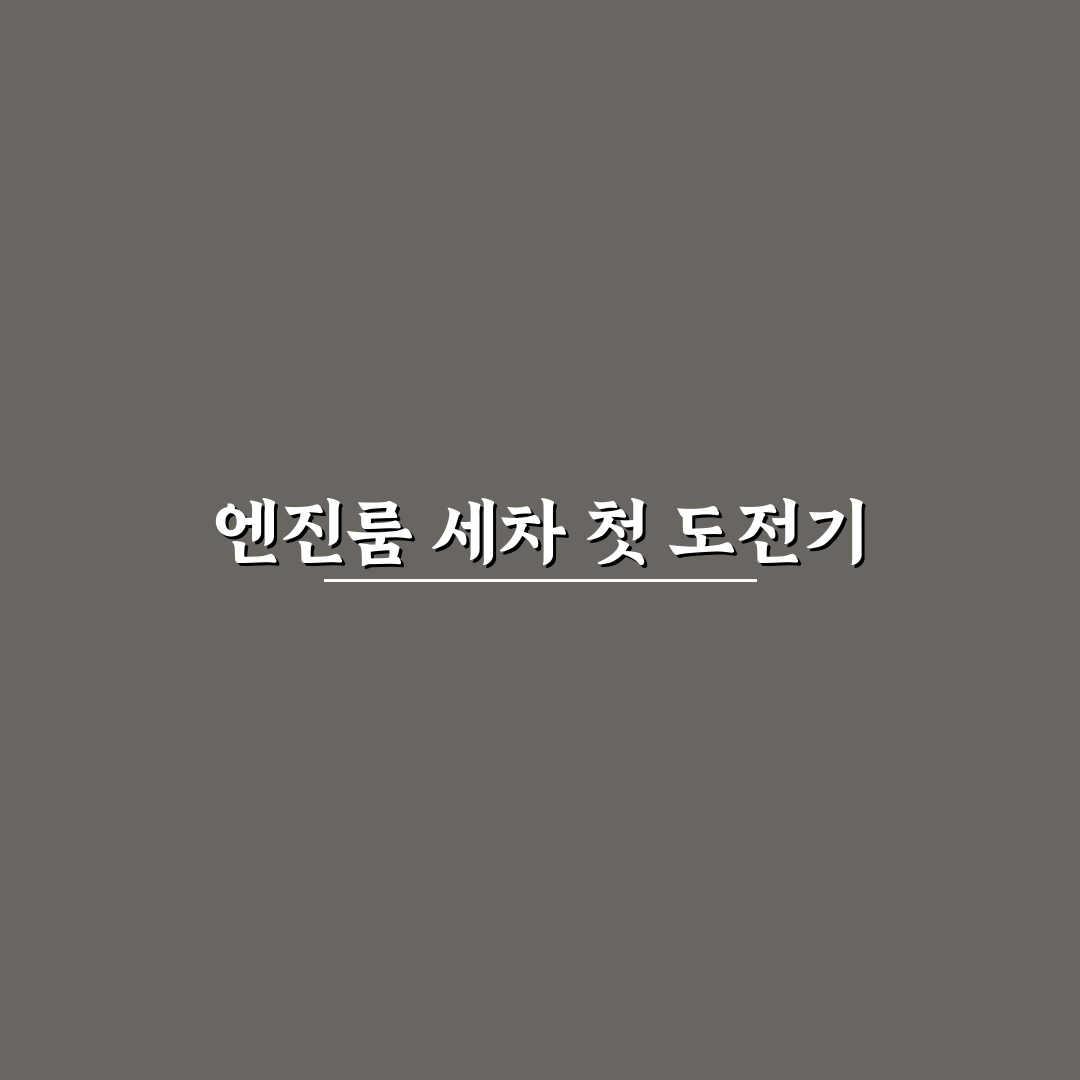 자동차 엔진룸 청소 물 세차 가능 여부 직접 써본 후기