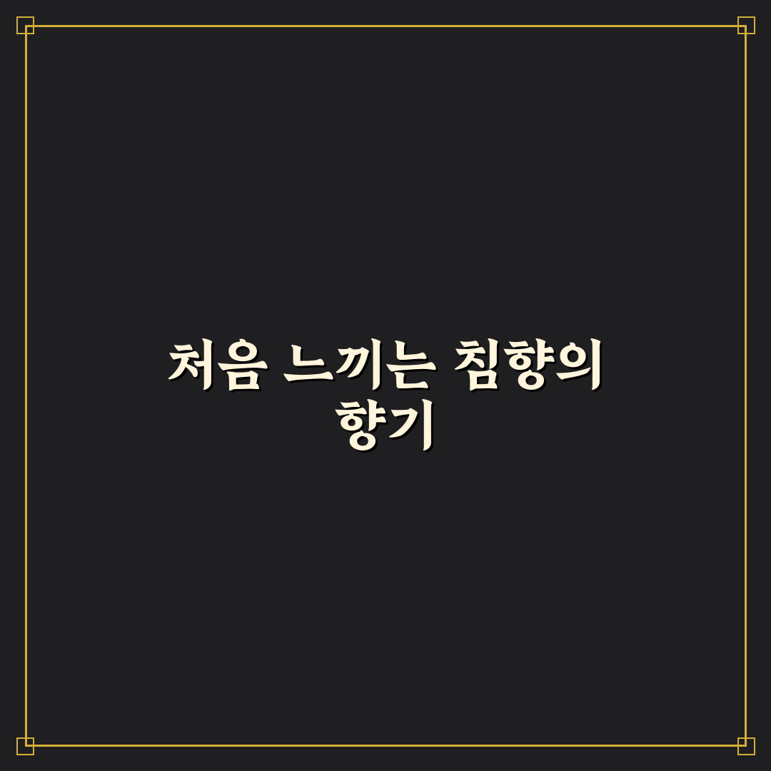 침향 보관법 직접 알아보니 꼭 주의할 점들