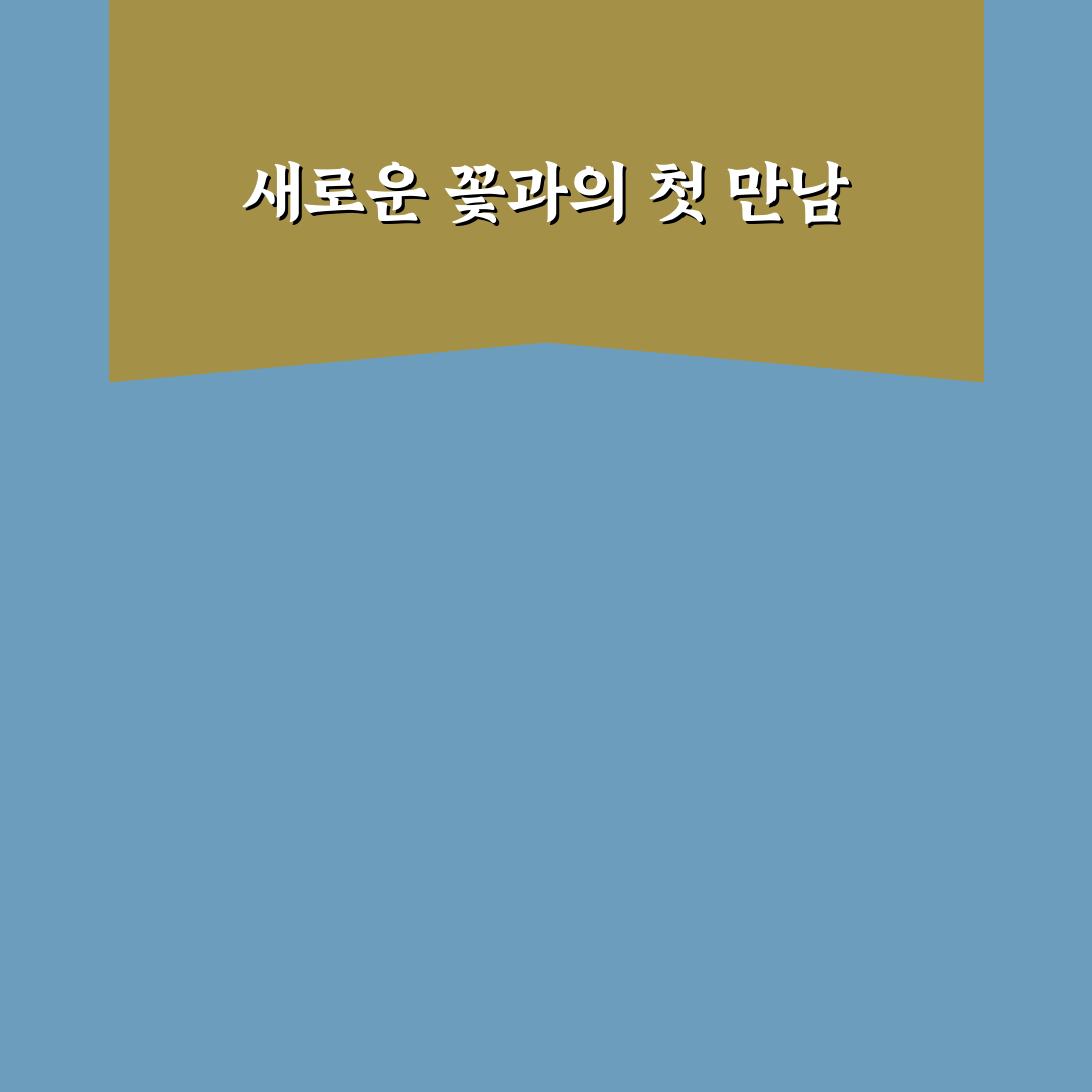 장미 없는 꽃집 방문 후기, 색다른 꽃 선택 경험