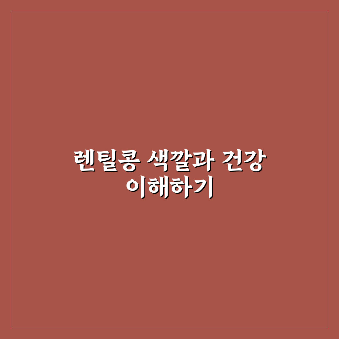 렌틸콩 색깔별 효능 비교와 건강 가이드 5가지